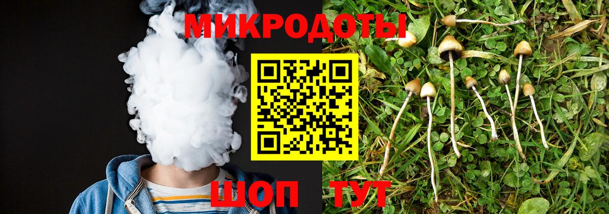 Псилоцибиновые грибы мицелий  где купить наркотик  Лабытнанги  Вход с VPN 
